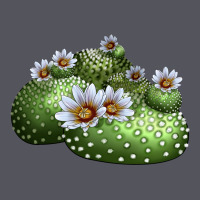 Blossfeldia Cactus Vintage Hoodie | Teevron
