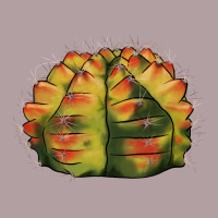 Gymnocalycium Variegated Cactus Vintage Hoodie | Teevron