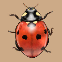 Lady Bug Vintage Hoodie | Teevron