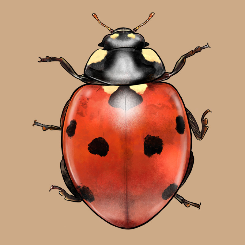 Lady Bug Vintage Hoodie by LillyAllenDesigns | Teevron