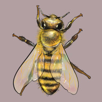 Bee Vintage Hoodie | Teevron
