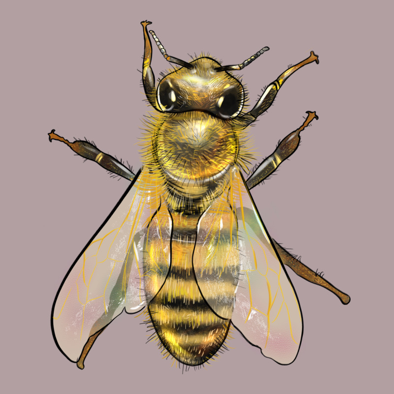 Bee Vintage Hoodie by LillyAllenDesigns | Teevron