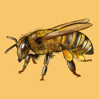 Bee Side Vintage Hoodie | Teevron