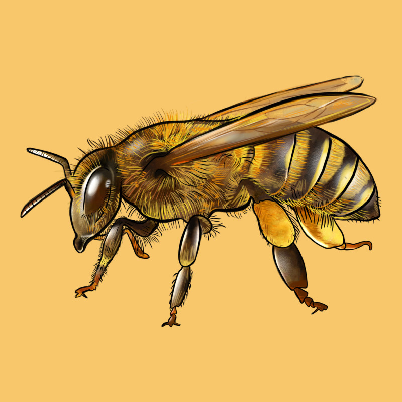 Bee Side Vintage Hoodie by LillyAllenDesigns | Teevron