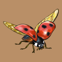 Ladybug Flying Vintage Hoodie | Teevron
