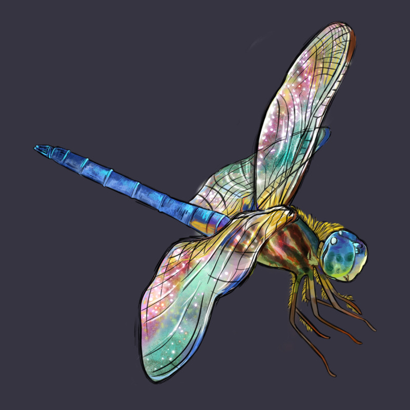 Dragon Fly Vintage Hoodie by LillyAllenDesigns | Teevron
