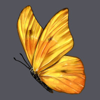 Flying Cloudless Sulphur Butterfly Vintage Hoodie | Teevron