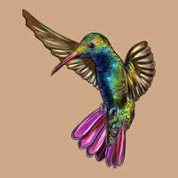 Flying Ruby Throated Hummingbird Vintage Hoodie | Teevron