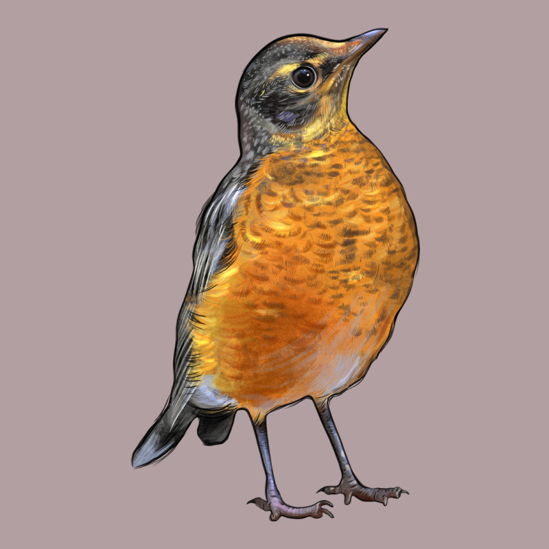 American Robin Bird Vintage Hoodie by LillyAllenDesigns | Teevron
