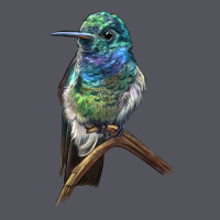 Ruby Throcuted Hummingbird Vintage Hoodie | Teevron