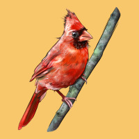 Northern Cardinal Bird Vintage Hoodie | Teevron