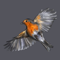 Flying American Robin Vintage Hoodie | Teevron