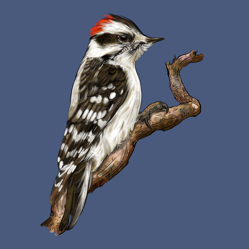 Downy Woodpecker Vintage Hoodie by LillyAllenDesigns | Teevron