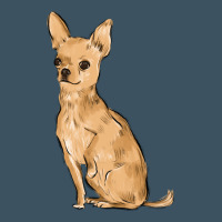 Chihuahua Urban Heavy Tee | Teevron