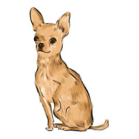 chihuahua | Teevron