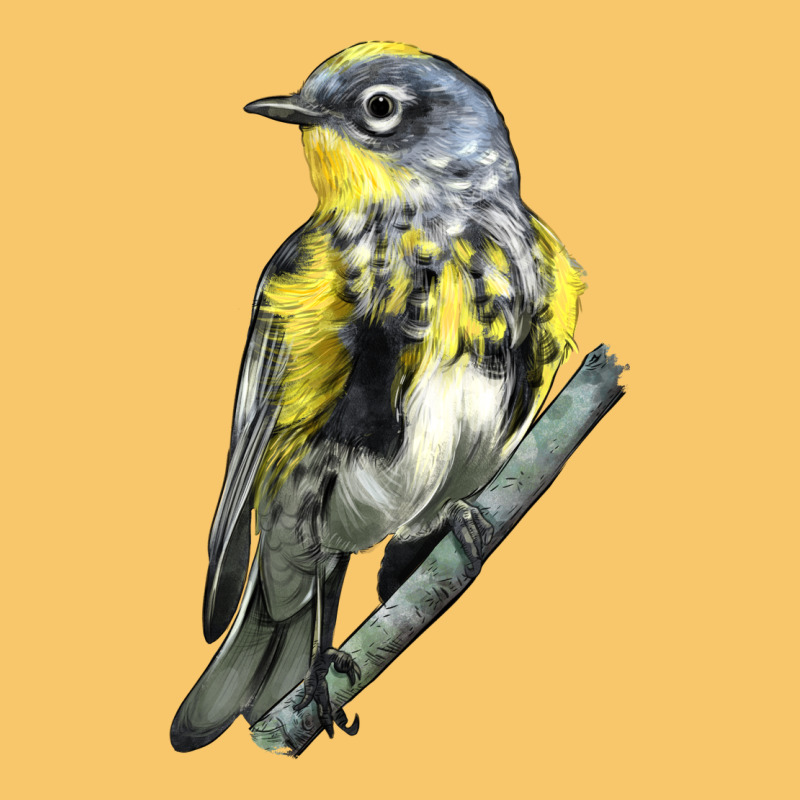 Yellow Rumped Warbler Vintage Hoodie by LillyAllenDesigns | Teevron