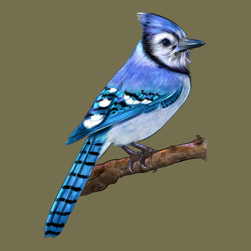 Blue Jay Bird Vintage Hoodie by LillyAllenDesigns | Teevron