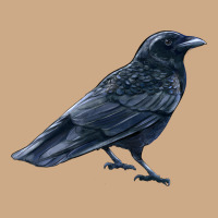 American Crow Vintage Hoodie | Teevron