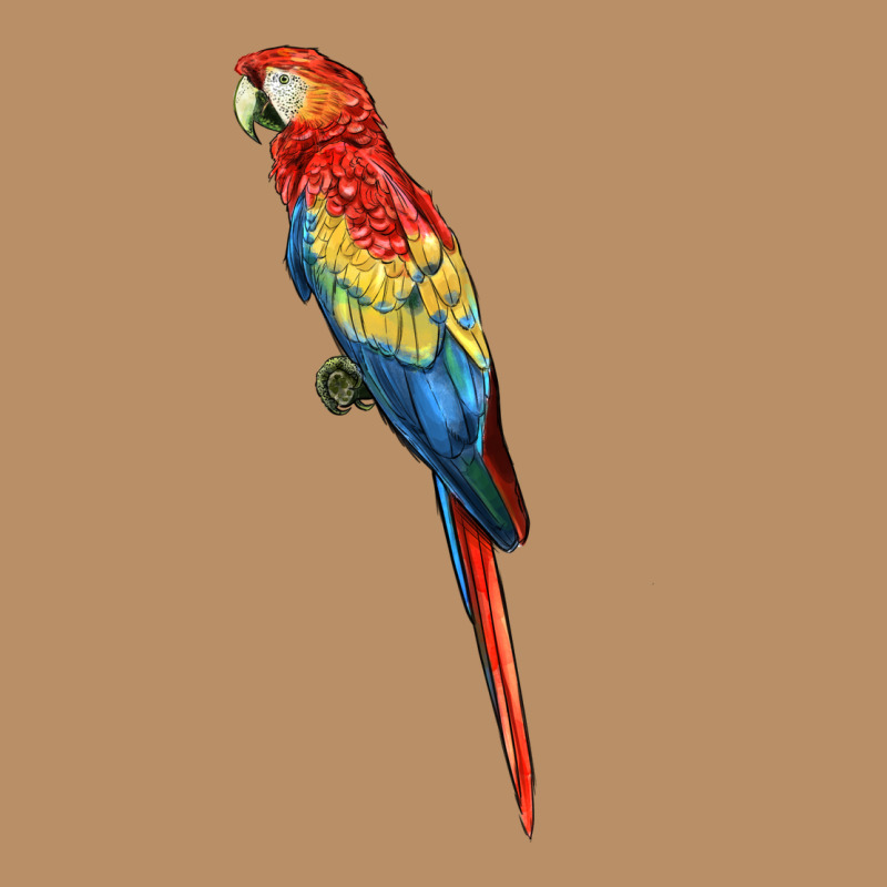 Scarlet Macaw Parrot Vintage Hoodie by LillyAllenDesigns | Teevron