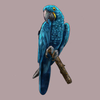 Hyacinth Macaw Vintage Hoodie | Teevron