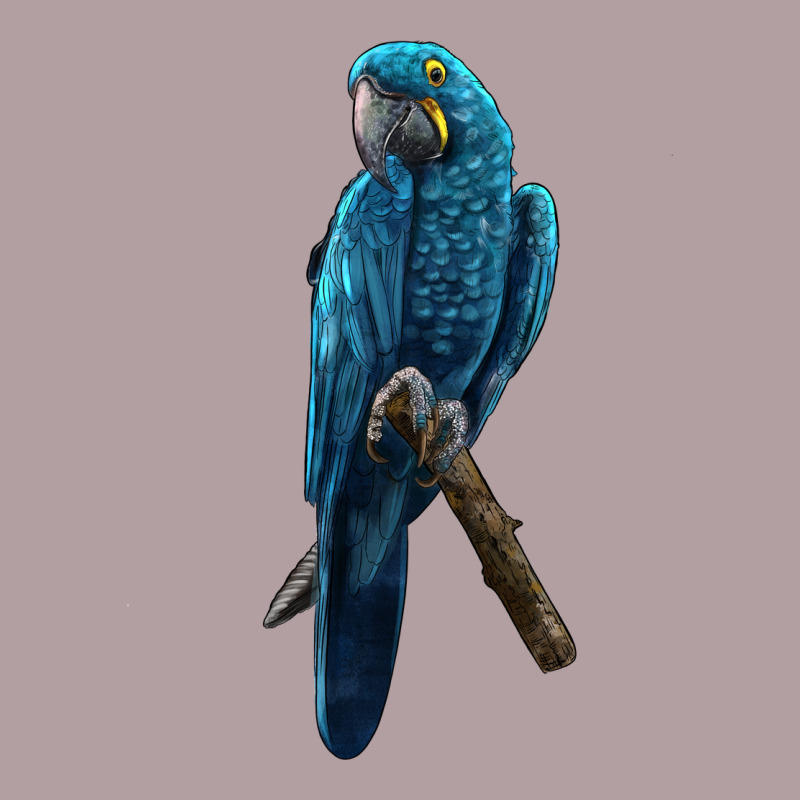 Hyacinth Macaw Vintage Hoodie by LillyAllenDesigns | Teevron