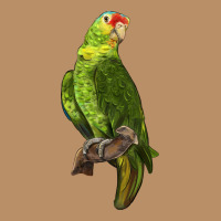 New Zealand Paraket Parrot Vintage Hoodie | Teevron