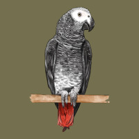 African Gray Parrot Bird Vintage Hoodie | Teevron