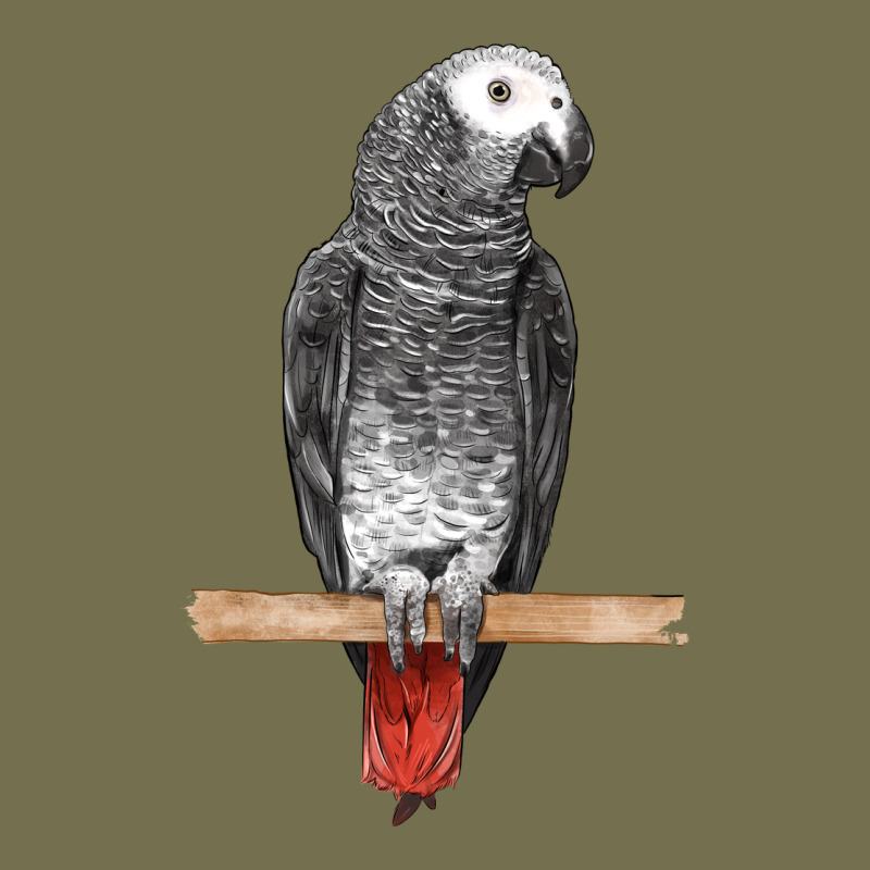 African Gray Parrot Bird Vintage Hoodie by LillyAllenDesigns | Teevron
