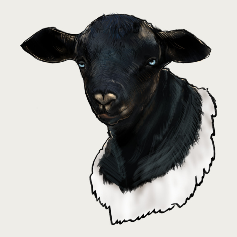 Dorper Sheep Zipper Hoodie by RanaPortraitStore | Teevron