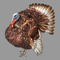 Bourbon Red Turkey Vintage Hoodie | Teevron