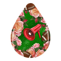 american football and western roses teardrop | Teevron