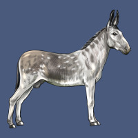Andalusian Donkey Vintage Hoodie | Teevron