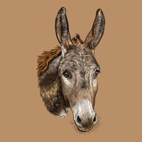 Andalusian Donkey Face Vintage Hoodie | Teevron