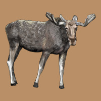 Moose Buck Deer Vintage Hoodie | Teevron