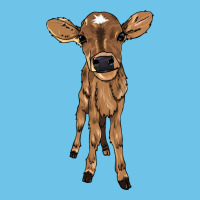 Baby Cow Premium Sweatshirt | Teevron