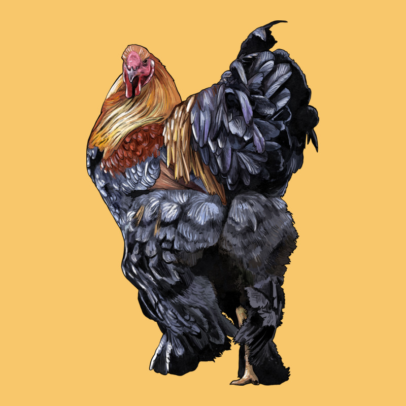 Brahma Rooster Vintage Hoodie by LillyAllenDesigns | Teevron