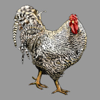 Dominique Rooster Vintage Hoodie | Teevron