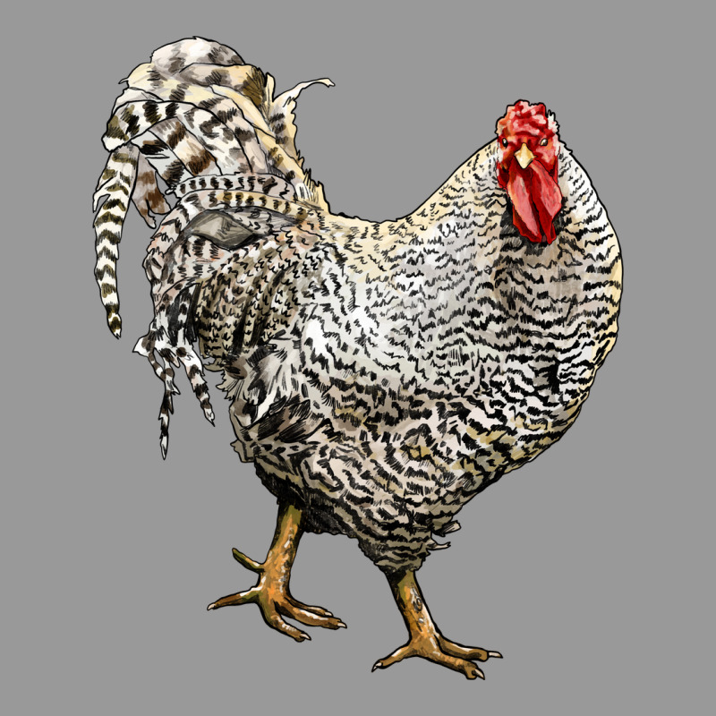 Dominique Rooster Vintage Hoodie by LillyAllenDesigns | Teevron