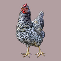 Dominique Chicken Vintage Hoodie | Teevron