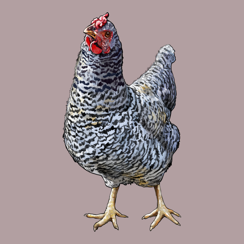 Dominique Chicken Vintage Hoodie by LillyAllenDesigns | Teevron