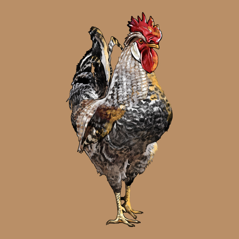 Cream Legbar Rooster Vintage Hoodie by LillyAllenDesigns | Teevron
