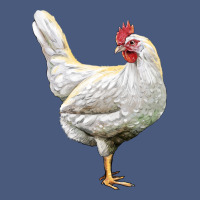 Leghorn Chicken Vintage Hoodie | Teevron