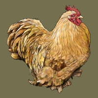 Cochin Rooster Vintage Hoodie | Teevron