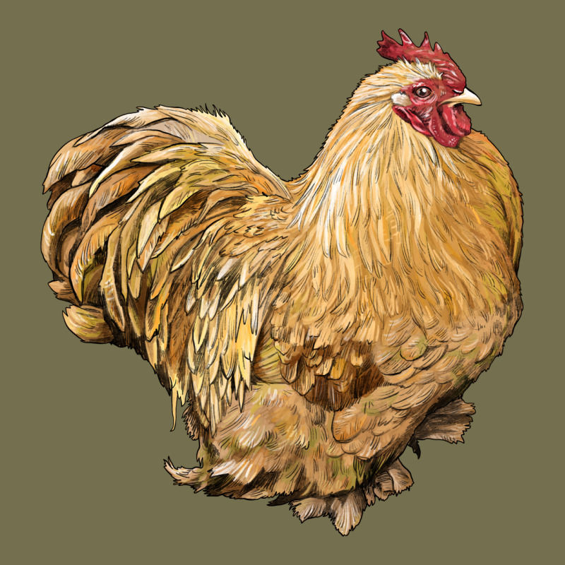 Cochin Rooster Vintage Hoodie by LillyAllenDesigns | Teevron
