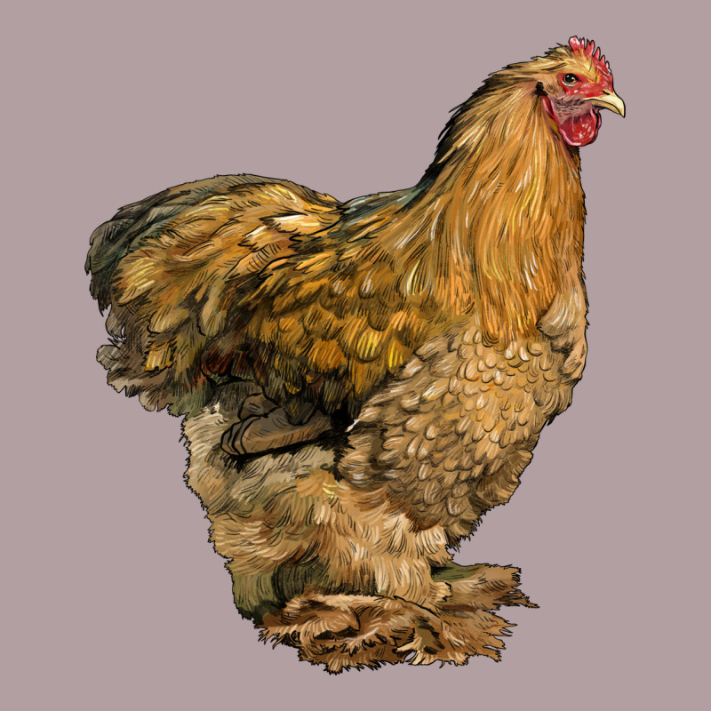 Cochin Chicken Vintage Hoodie by LillyAllenDesigns | Teevron
