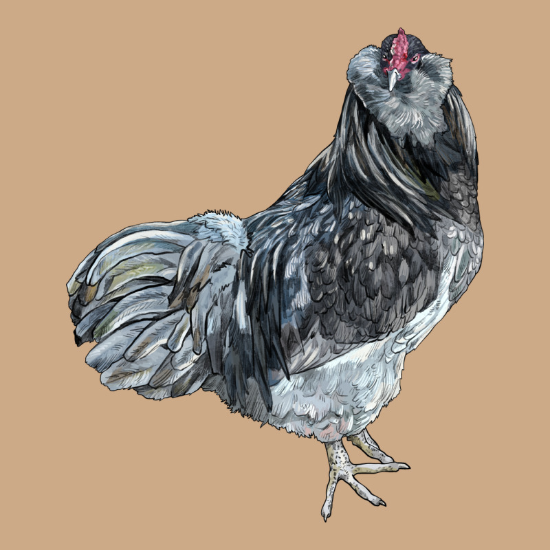 Ameraucana Rooster Vintage Hoodie by LillyAllenDesigns | Teevron