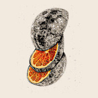 Lunar Fruit Zipper Hoodie | Teevron