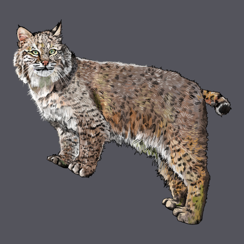 Bobcat Vintage Hoodie by LillyAllenDesigns | Teevron