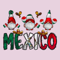 Mexico Gnome Ladies Tee | Teevron