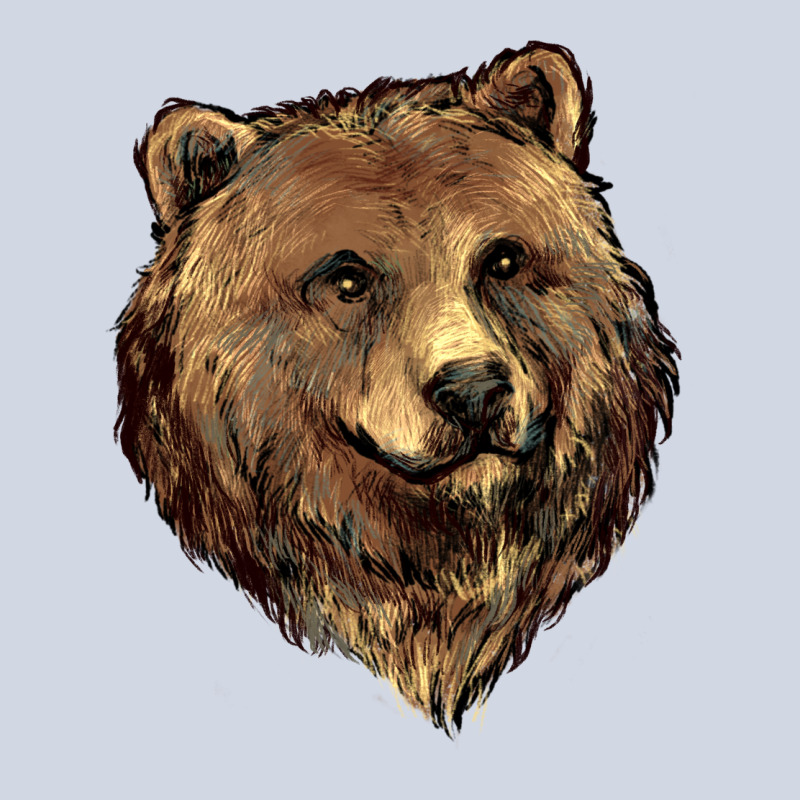 Grizzly Bear Head Premium Sweatshirt by HowdyJamesFarm | Teevron